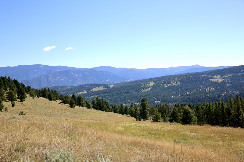 Landscape