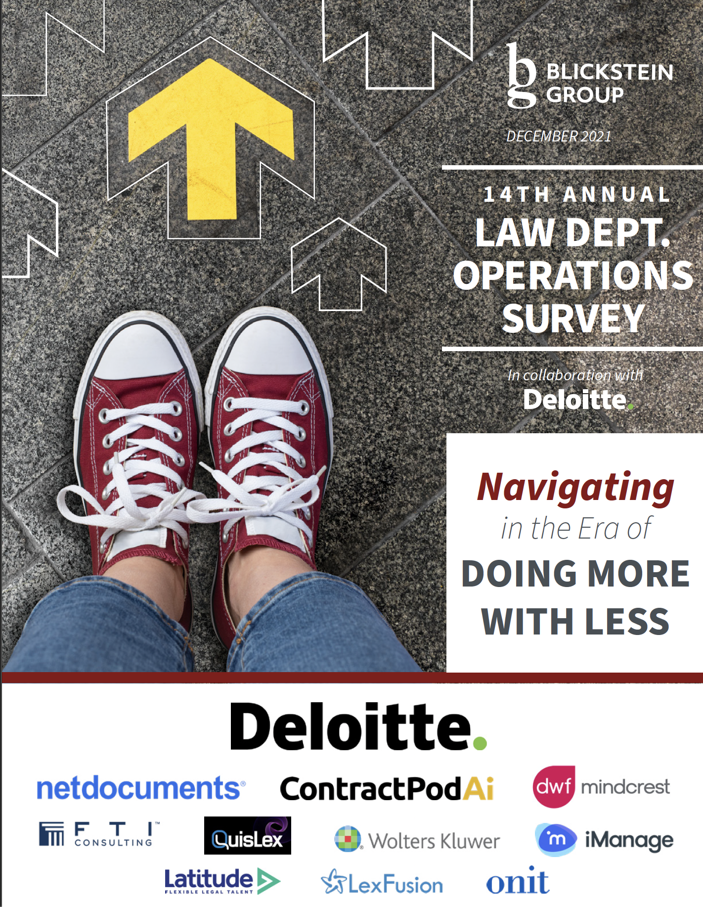 2021 LDO Survey Report cover
